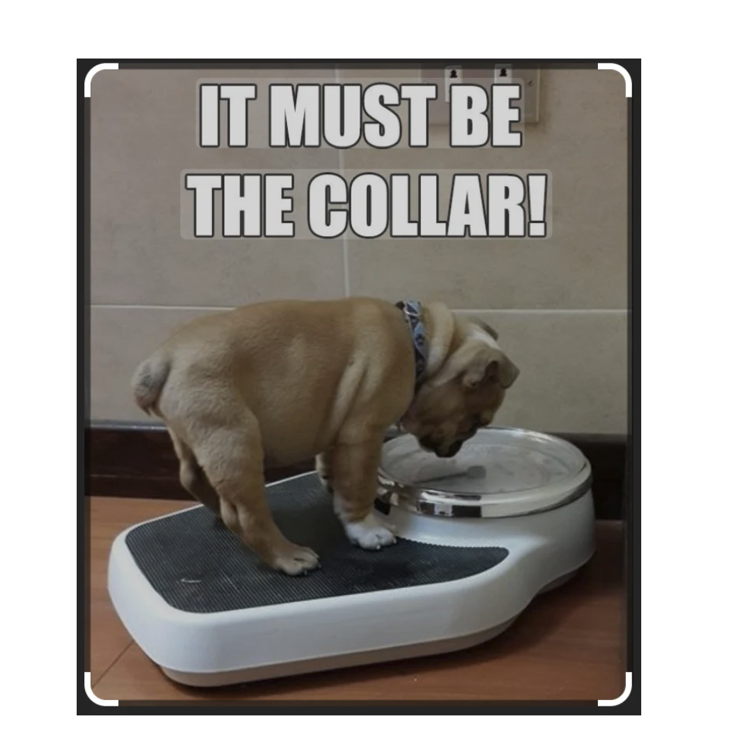 Weight Loss